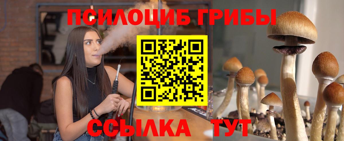 Северодвинск  Псилоцибиновые грибы Psilocybe  Вход с VPN  Псилоцибиновые грибы Psilocybe 
